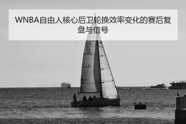 zi-you-ren-he-xin-hou-wei-lun-huan-xiao-lv-bian-hua-de-sai-hou-fu-pan-yu-xin-hao-2-501.jpg